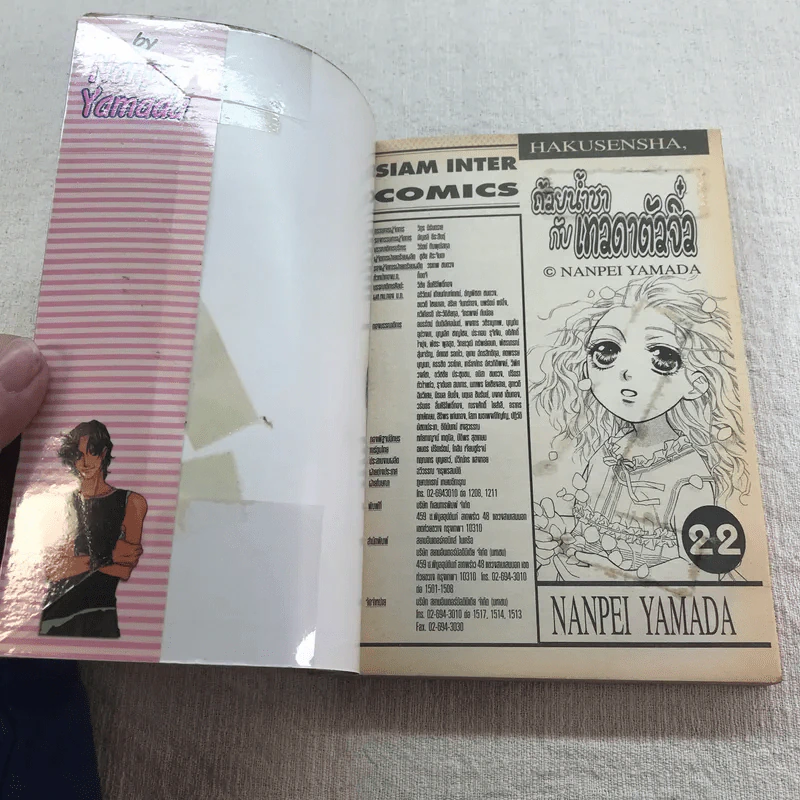 ถ้วยน้ำชากับเทวดาตัวจิ๋ว เล่ม 19-24 รูปที่ 12