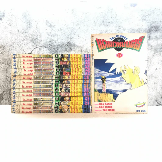 ได ตะลุยแดนเวทมนตร์ เล่ม 22-37 รูปที่ 1