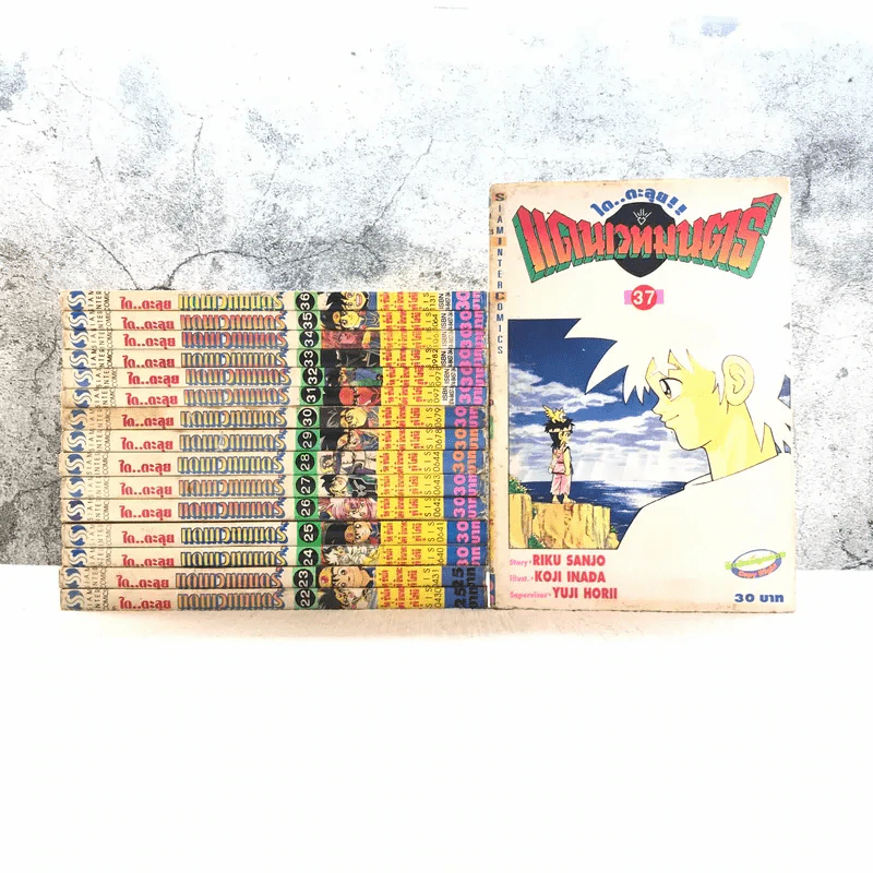 ได ตะลุยแดนเวทมนตร์ เล่ม 22-37 รูปที่ 1