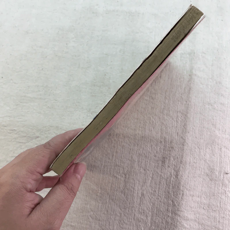 หมัดสั่งสร้างฝัน 48 เล่มจบ (ขาดเล่ม 14,15,17,18,21,22,23,24,30,45) รูปที่ 86