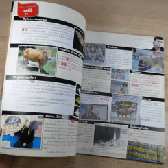 ฮิฮิ แมกกาซีน เล่ม 12 พ.ย.2550 รถริษยา รูปที่ 10