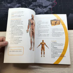 คู่มือปฐมพยาบาล First Aid Manual - สภากาชาดไทย รูปที่ 11