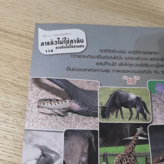 ฮิฮิ แมกกาซีน เล่ม 9 ส.ค.2550 แอ๊บแบ๊ว รูปที่ 15