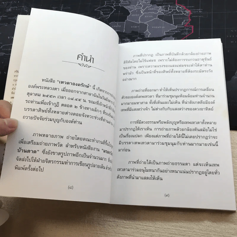 เทวดาองครักษ์หลวงตา - คุณหลวงและคณะ รูปที่ 8