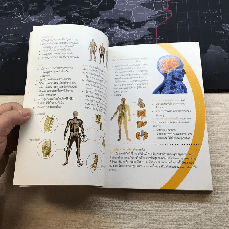 คู่มือปฐมพยาบาล First Aid Manual - สภากาชาดไทย รูปที่ 12
