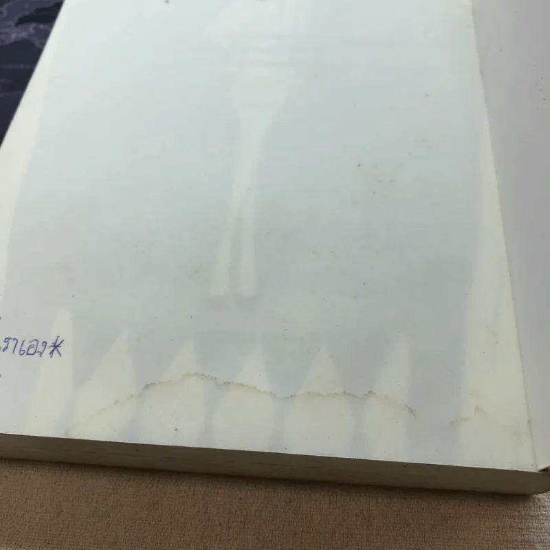 ผู้หญิงร้ายผู้ชายรัก เล่ม 1 รูปที่ 11