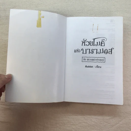 หัวขโมยแห่งบารามอส 4 เล่มจบ - Rabbit รูปที่ 16