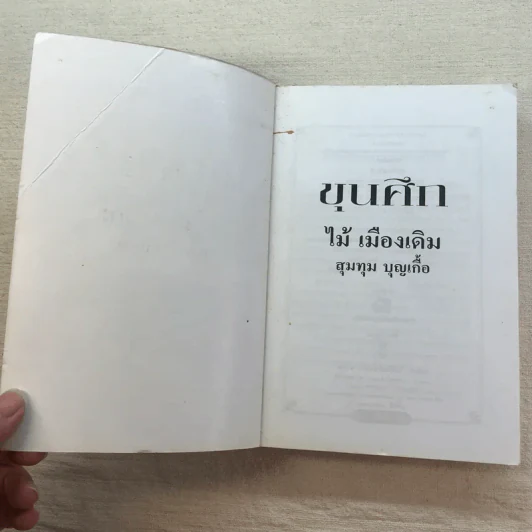 ขุนศึก 10 เล่มจบ - ไม้ เมืองเดิม, สุมทุม บุญเกื้อ รูปที่ 39