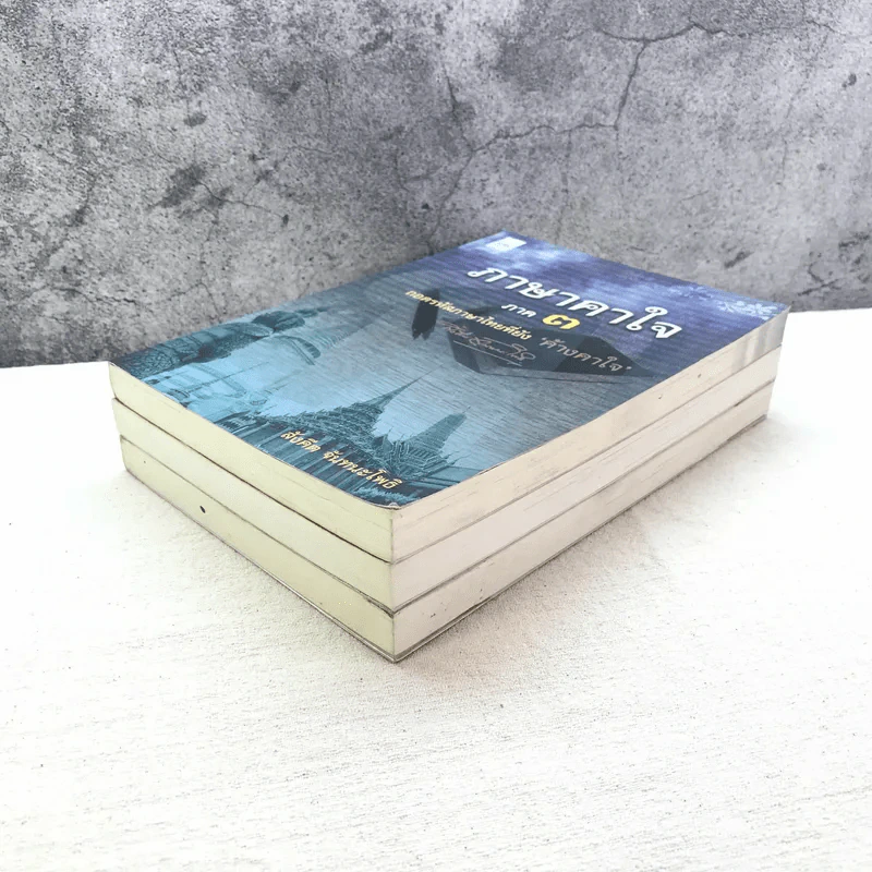 ภาษาคาใจ เล่ม 1-3 - สังคีต จันทนะโพธิ รูปที่ 4