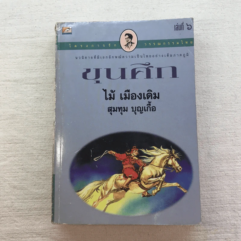 ขุนศึก 10 เล่มจบ - ไม้ เมืองเดิม, สุมทุม บุญเกื้อ รูปที่ 45