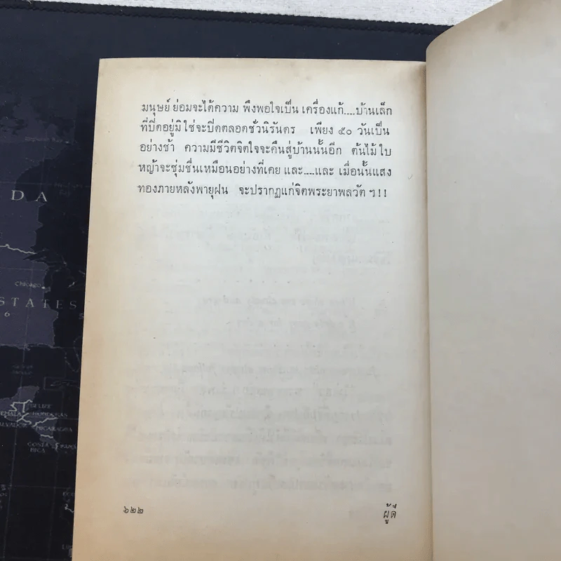 ผู้ดี - ดอกไม้สด รูปที่ 12