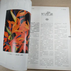 พลอยแกมเพชร ปีที่ 5 ฉบับที่ 115 พ.ย.2539 คุณพลอยไพลิน รูปที่ 11