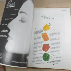 พลอยแกมเพชร ปีที่ 2 ฉบับที่ 33 มิ.ย.2536 รูปที่ 12