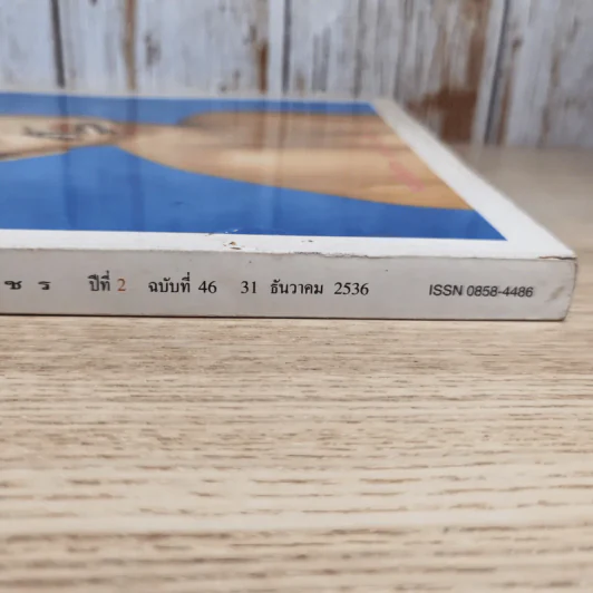 พลอยแกมเพชร ปีที่ 2 ฉบับที่ 46 ธ.ค.2536 ลูกเกด เมทินี รูปที่ 3