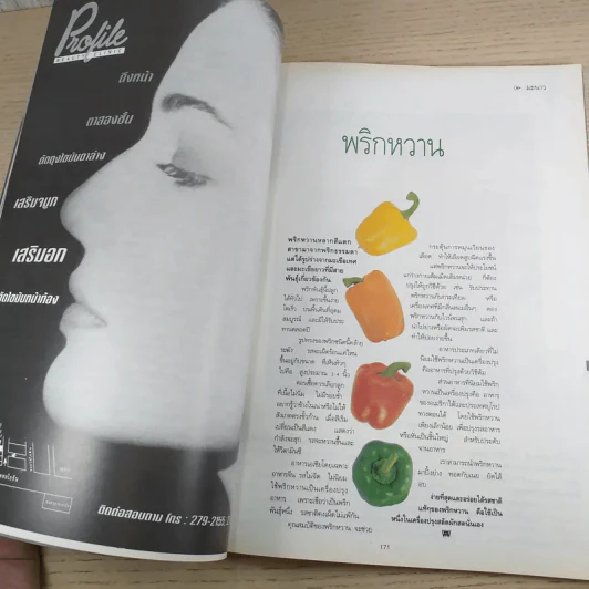 พลอยแกมเพชร ปีที่ 2 ฉบับที่ 33 มิ.ย.2536 รูปที่ 12