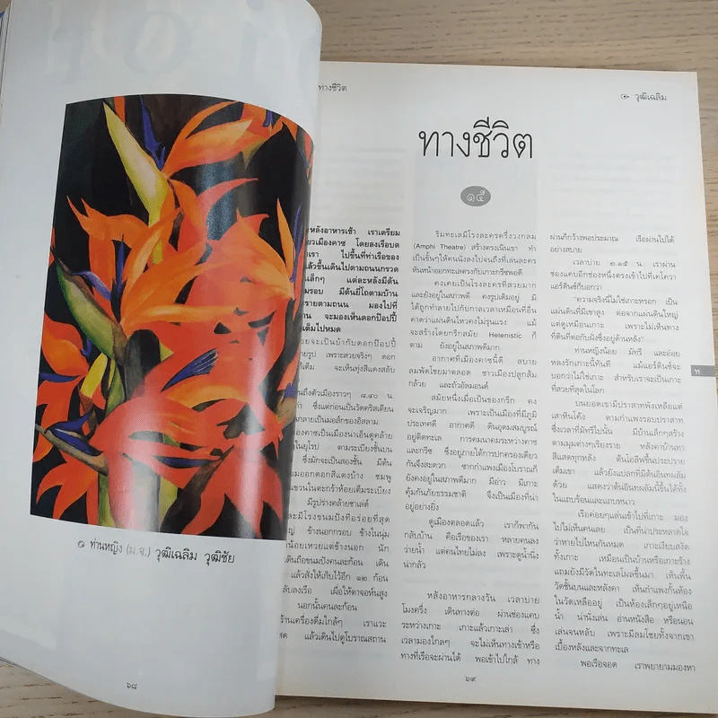 พลอยแกมเพชร ปีที่ 5 ฉบับที่ 115 พ.ย.2539 คุณพลอยไพลิน รูปที่ 11