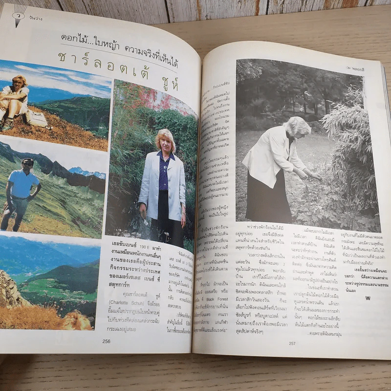 พลอยแกมเพชร ปีที่ 2 ฉบับที่ 45 ธ.ค.2536 แหม่ม คัทลียา รูปที่ 11