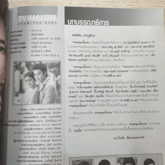 สามหนุ่มเนื้อทอง เรื่องย่อละคร ทีวีแม็กกาซีน รูปที่ 8