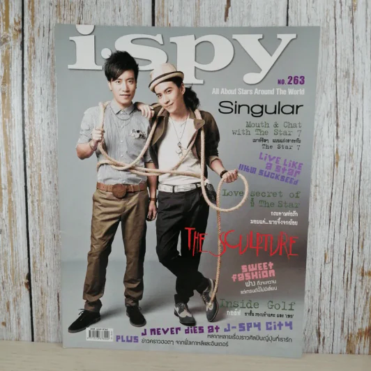 I-SPY No.263 Singular รูปที่ 1