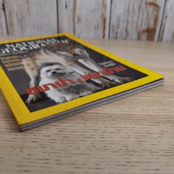 National Geographic ม.ค.2545 วิวัฒนาการของสุนัข หมาป่าสู่หมาบ้าน รูปที่ 5