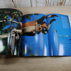 National Geographic ส.ค.2545 นี่คือโฉมหน้านักบุกเบิก รูปที่ 9
