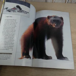 National Geographic มิ.ย.2545 วันดีเดย์ รูปที่ 13