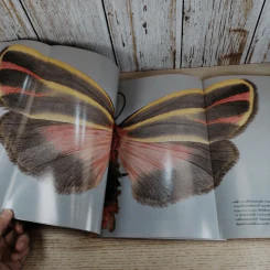 National Geographic พ.ค.2545 มัมมี่แห่งอินคา รูปที่ 12