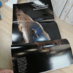 National Geographic ก.ค.2548 สเตมเซลล์ รูปที่ 16