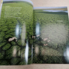 National Geographic ก.ย.2548 แอฟริกา รูปที่ 13