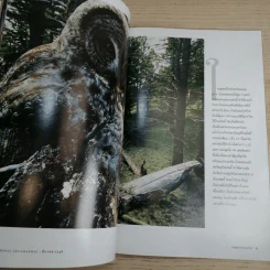National Geographic มี.ค.2548 สึนามิ โศกนาฏกรรมของแผ่นดิน รูปที่ 13