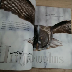 National Geographic มี.ค.2548 สึนามิ โศกนาฏกรรมของแผ่นดิน รูปที่ 12
