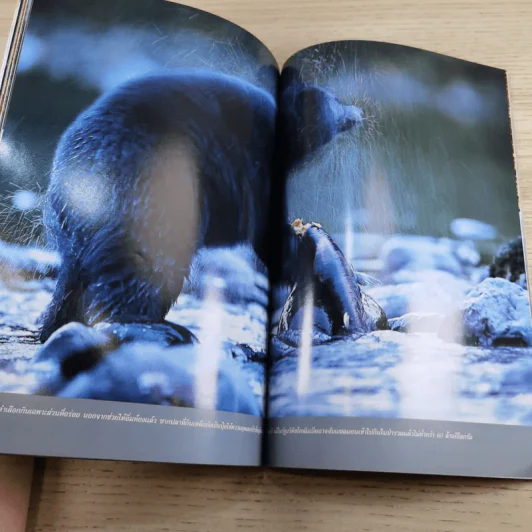 NATIONAL GEOGRAPHIC ก.พ.2546 เผยปฐมบทแห่งดาราจักร รูปที่ 15