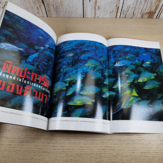National Geographic ก.พ.2545 เอ็ตนาระเบิด รูปที่ 16