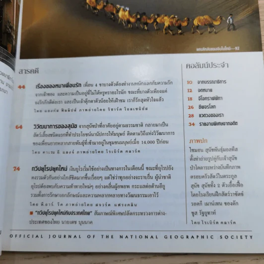 National Geographic ม.ค.2545 วิวัฒนาการของสุนัข หมาป่าสู่หมาบ้าน รูปที่ 8
