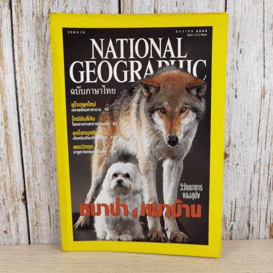 National Geographic ม.ค.2545 วิวัฒนาการของสุนัข หมาป่าสู่หมาบ้าน รูปที่ 1