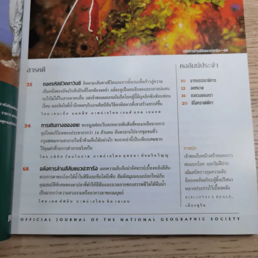 National Geographic พ.ค.2548 ถอดรหัสชีวิตดาวินชี รูปที่ 8