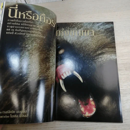 National Geographic พ.ย.2545 ลอกคราบผิวหนัง รูปที่ 12