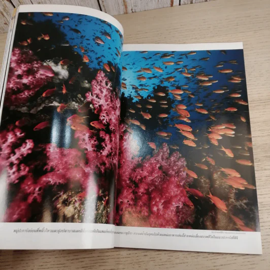 National Geographic พ.ย.2547 ท้าทายทฤษฎีวิวัฒนาการ ชาร์ลส์ ดาร์วิน รูปที่ 11