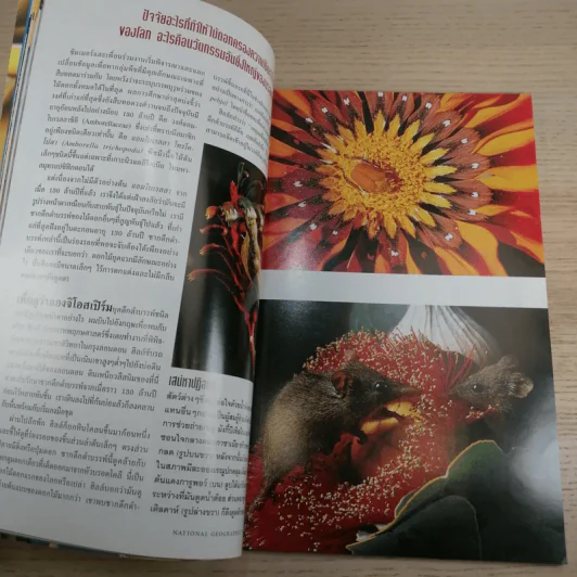 National Geographic ก.ค.2545 อินทรีหัวขาวผงาดฟ้า รูปที่ 11