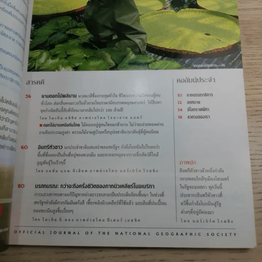 National Geographic ก.ค.2545 อินทรีหัวขาวผงาดฟ้า รูปที่ 8