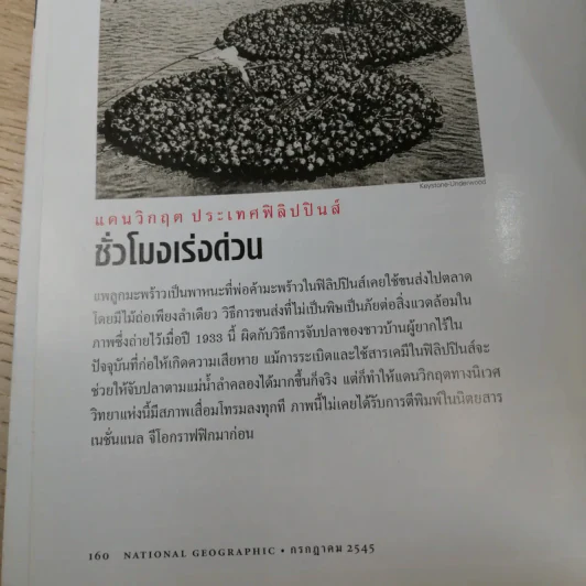 National Geographic ก.ค.2545 อินทรีหัวขาวผงาดฟ้า รูปที่ 15