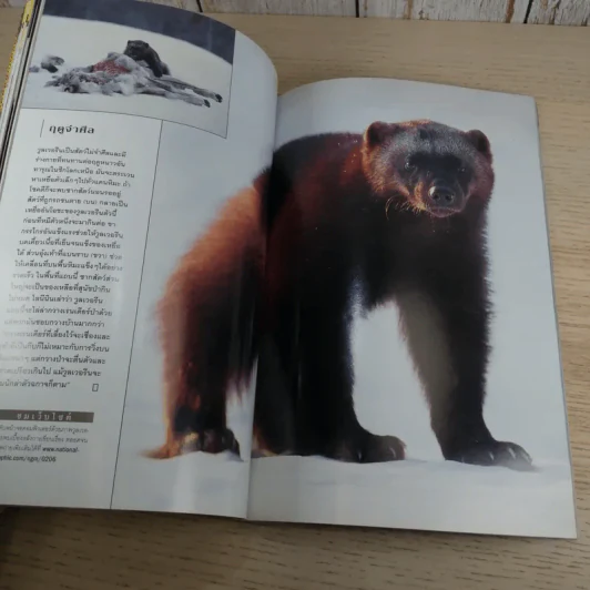 National Geographic มิ.ย.2545 วันดีเดย์ รูปที่ 13