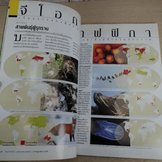 National Geographic ก.ค.2548 สเตมเซลล์ รูปที่ 10