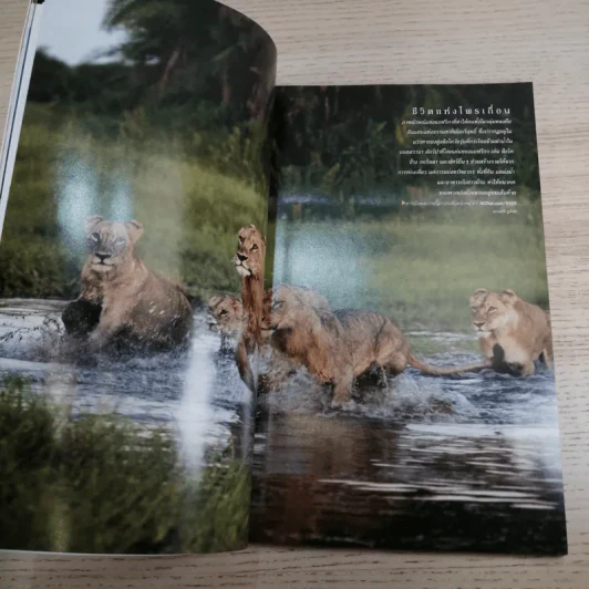 National Geographic ก.ย.2548 แอฟริกา รูปที่ 12