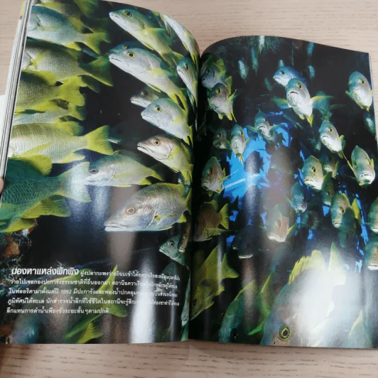 National Geographic ก.ย.2548 แอฟริกา รูปที่ 16