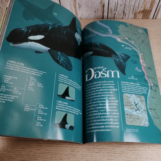 National Geographic เม.ย.2548 สเปซชิปวัน รูปที่ 14