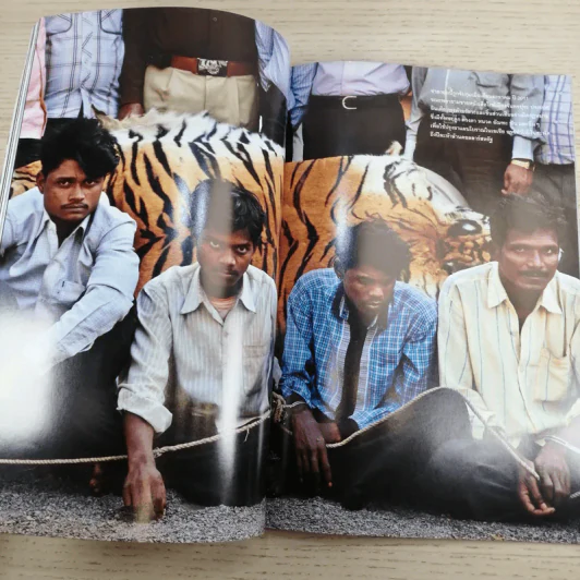 National Geographic ฉบับที่ 126 ม.ค.2555 ผจญภัยใต้หุบผาเร้นลับ รูปที่ 11