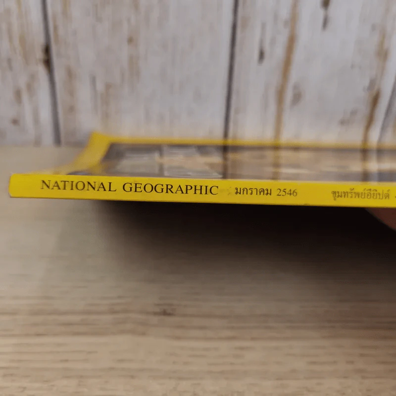 National Geographic ม.ค.2546 เปิดกรุลับขุมทรัพย์อียิปต์ รูปที่ 4