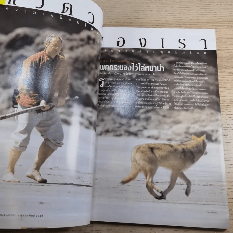 NATIONAL GEOGRAPHIC ก.พ.2546 เผยปฐมบทแห่งดาราจักร รูปที่ 10