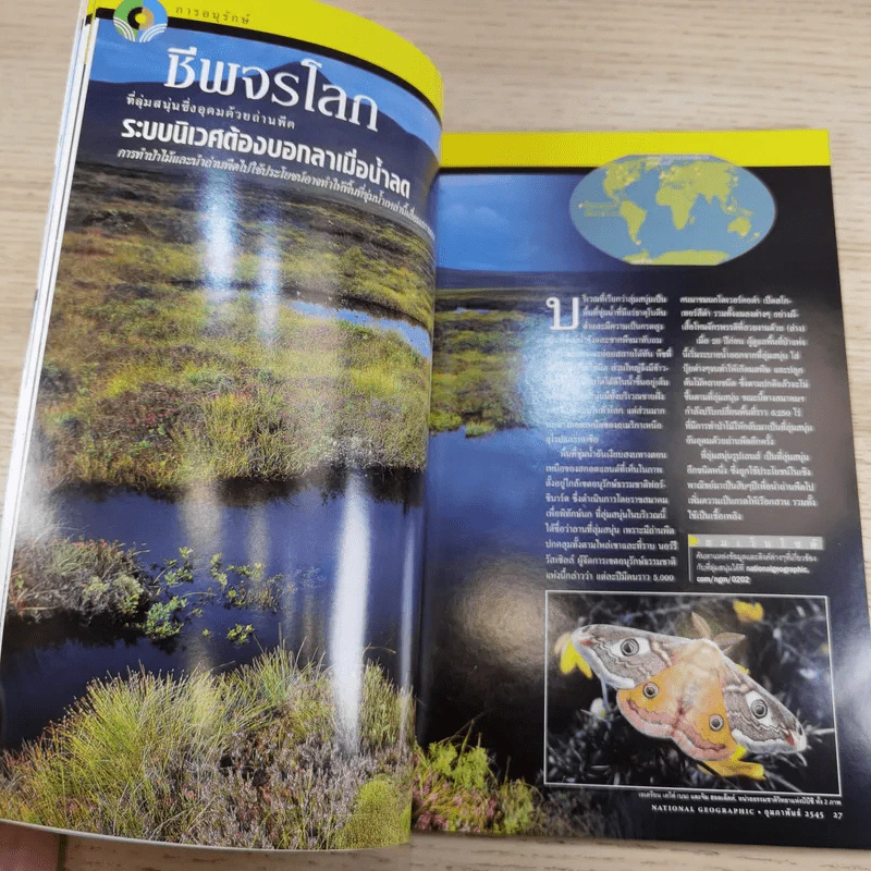 National Geographic ก.พ.2545 เอ็ตนาระเบิด รูปที่ 11